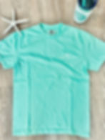 Thumbnail: Simple back view of NAV BCH Soundside Tee in Coral color