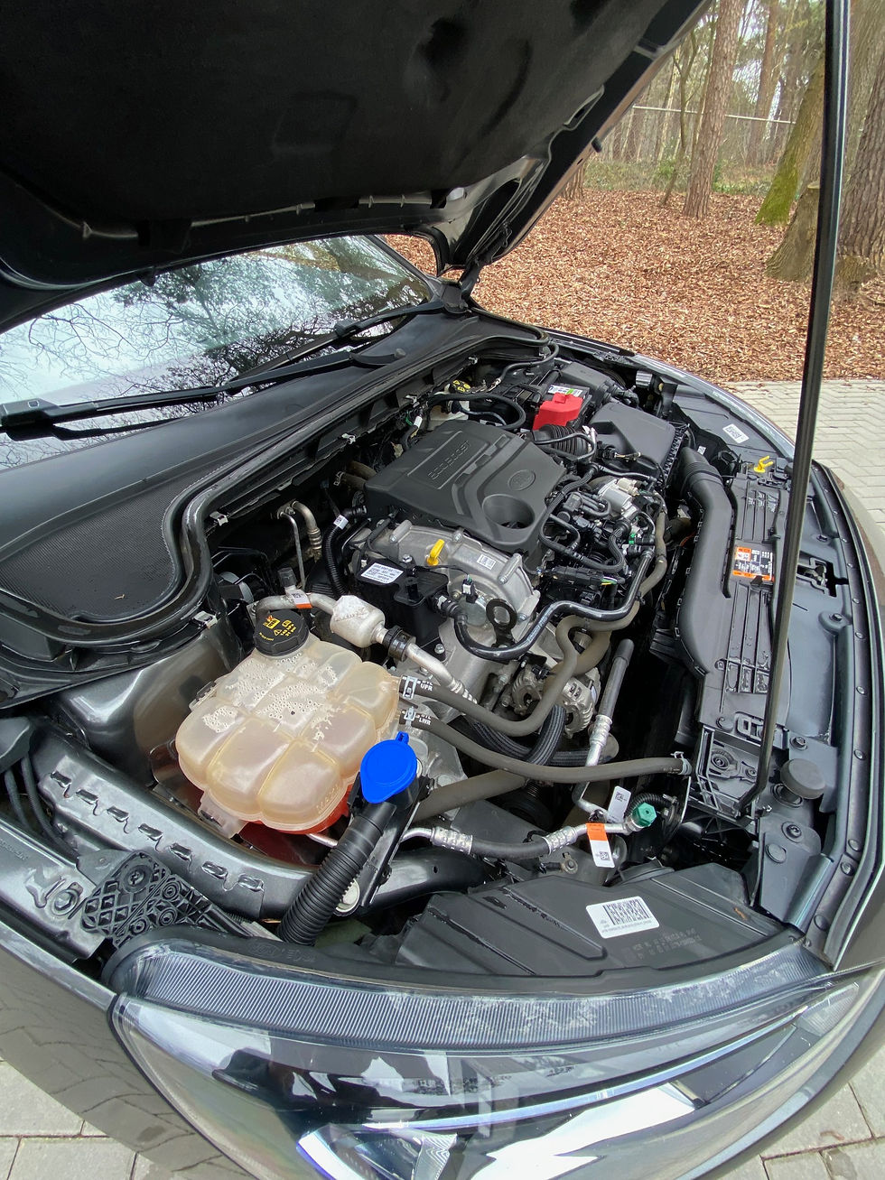 Thumbnail: Ford Focus 1.0 Ecoboost 125pk ST Line
