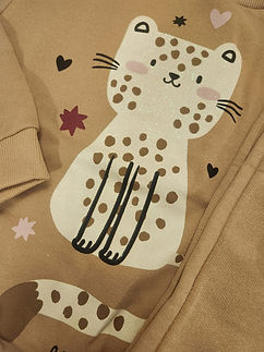 Conjunto Infantil Menina Moletom Cat