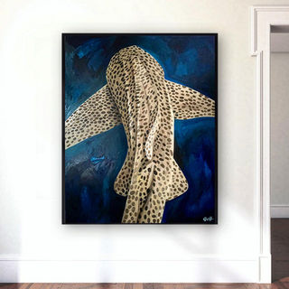 Leopard shark