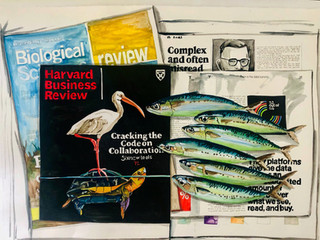 The Code is collaboration SOLD