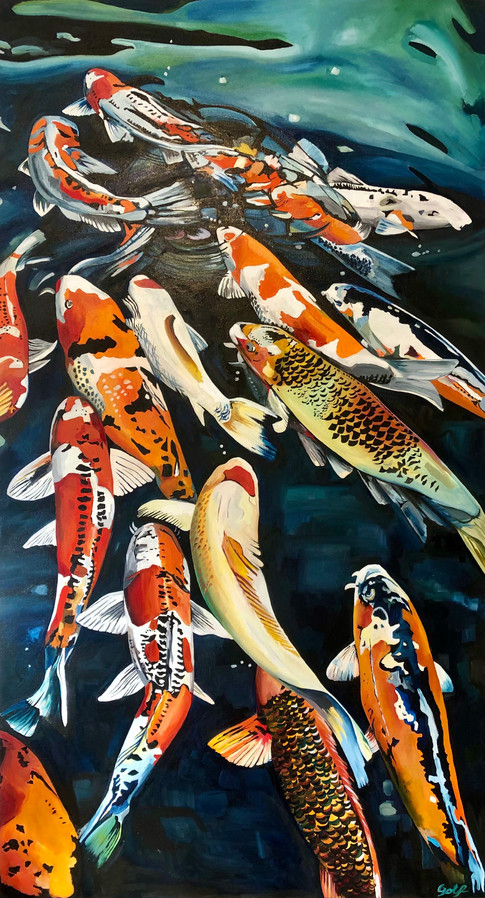 Koi. Japanese carps SOLD