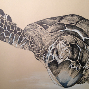 Turtling