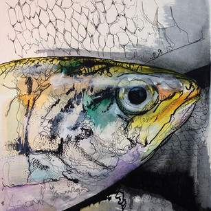 Just a fish