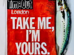 Take me, I'm Yours. Said no fish ever.