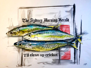 Morning Herald ( Let's clean up the ocean first )