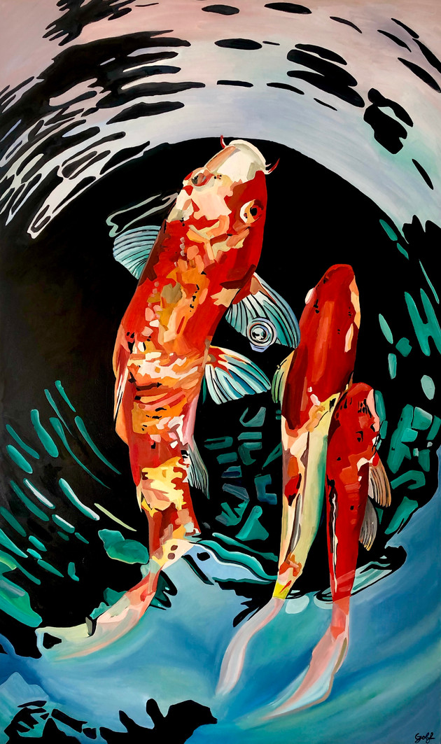 Red Koi in water