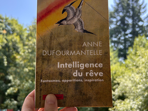 L'intelligence du rêve, le travail du rêve en psychanalyse à Paris