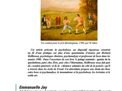 Psychoboxe, indications et dispositif