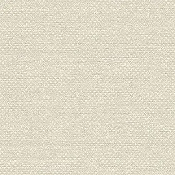 preview (12).webp