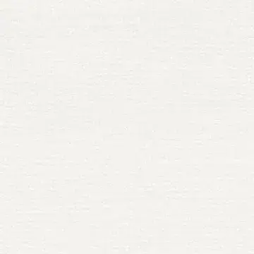 preview (7).webp