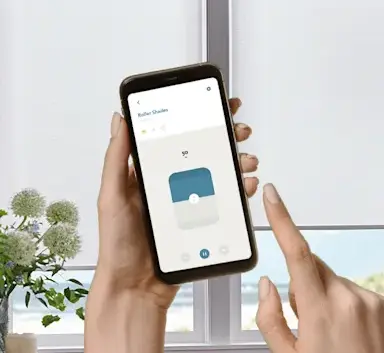 Bliss Automation