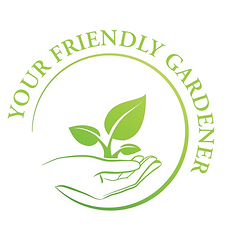 435250021_122101531274263613_72822001939