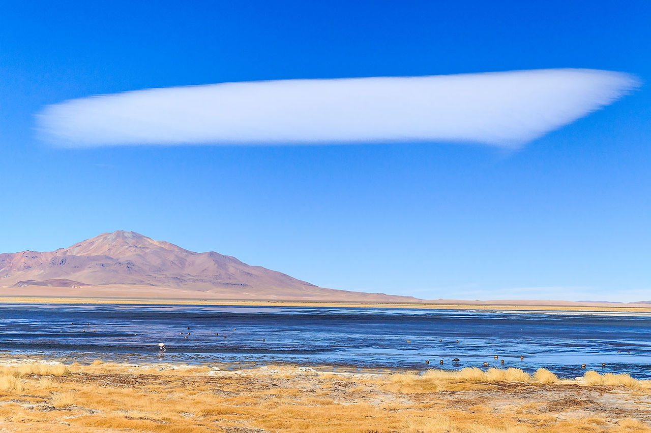  Atacama Desert.