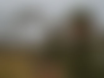 Dank der FDP: Befreiungsschlag für Schweizer Rüstungsindustrie