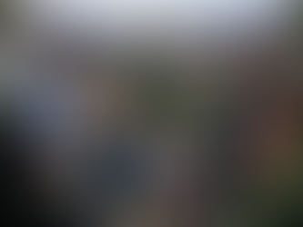 Sicherheit neu gedacht: Wie die FDP Freiheit, Wirtschaft und Alltag zusammendenkt