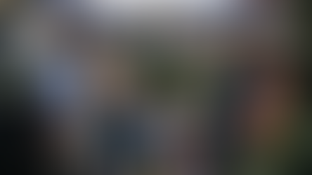 Sicherheit neu gedacht: Wie die FDP Freiheit, Wirtschaft und Alltag zusammendenkt