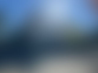 FDP-Initiative fordert Steuersenkung
