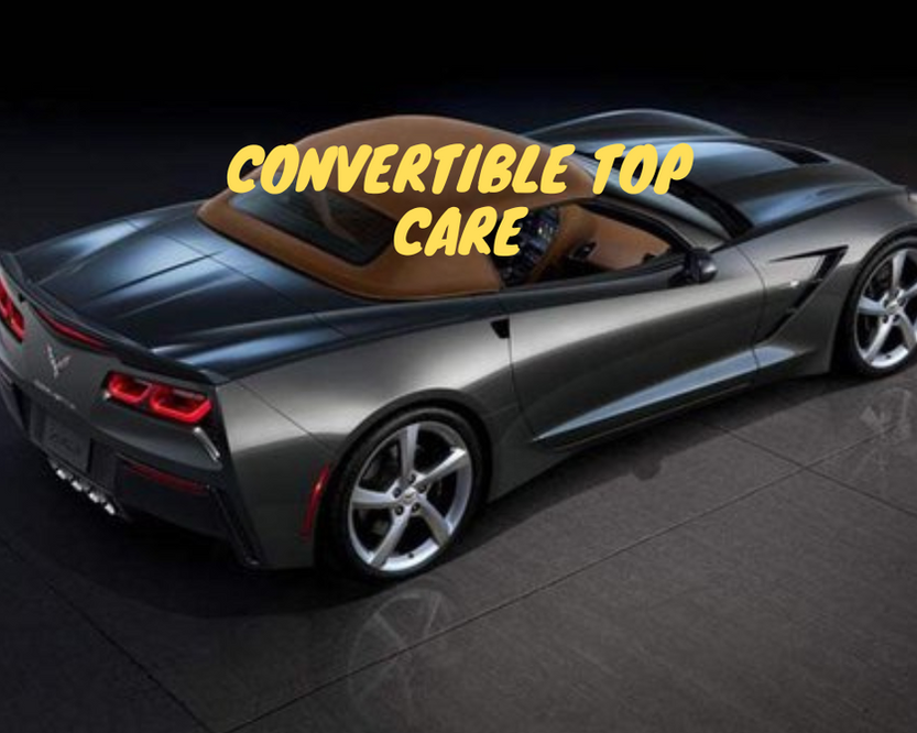 Convertible Top Care