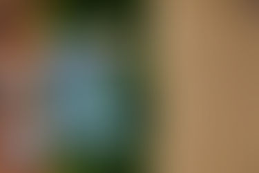 밀레니얼 세대를 위한 오피스 이야기