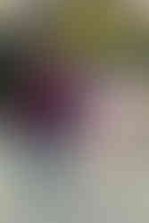 Atlanta family photographer