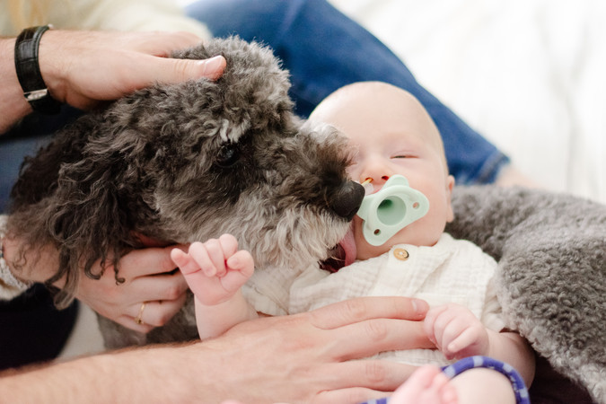 Atlanta Newborn Photographer