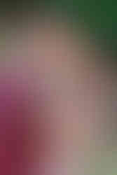 Atlanta family photographer