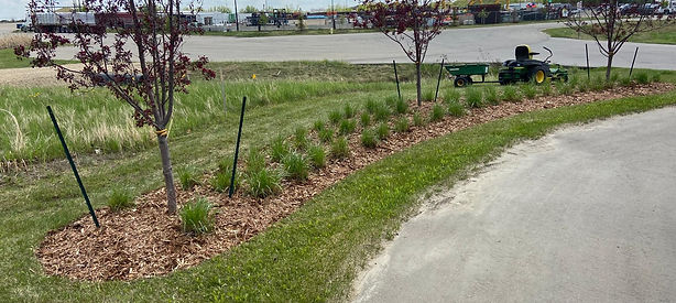 Mulch