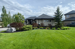 Lawn and Maintenance