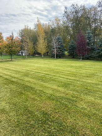 Fall Cleanup