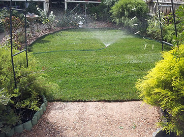 Santa Anna Turf2.jpg