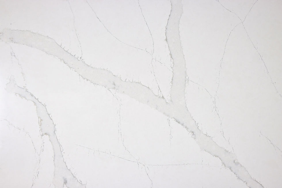 Calacatta Laurel Close Up