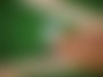 Judge ties DiMaggio as Yankees take down the Tigers 9-3 to salvage series finale