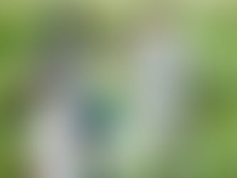 Goldy goes deep, Bednar slams the door as the Yankees avoid a sweep in Texas