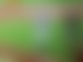 Rodon shoves, Stanton and Judge go deep as the Yankees beat the Orioles 6-1