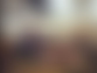 Premier Pop Up Shop at the BRIMFIELD ANTIQUES and COLLECTIBLES SHOW 05.12.2015-05.17.2015