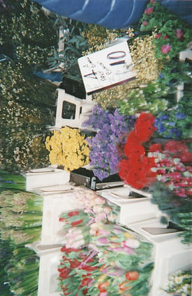 Scan 9.jpeg