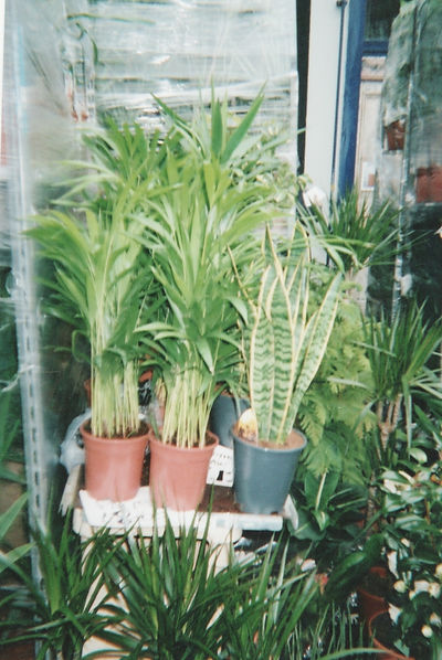 Scan 2.jpeg