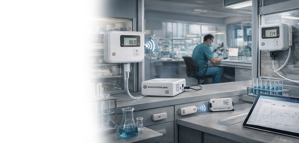 Projekt bez nazwy (17).png