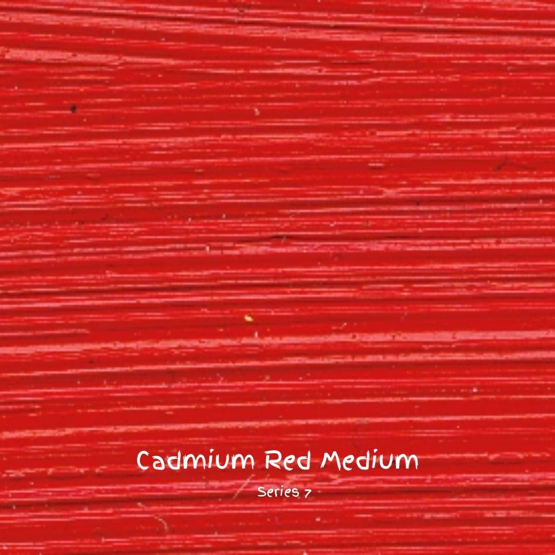  Cadmium Red Medium - williamsburg