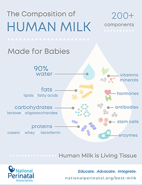 Composition of Human Milk_2025 poster.png