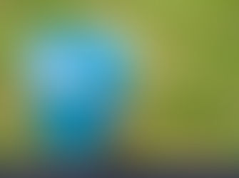 Challenge 32 #thegreatindoors