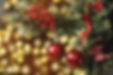 Noel pic.jpg