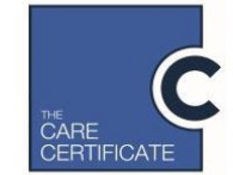Care Certificate 15 Standards