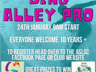 Ding Alley Pro