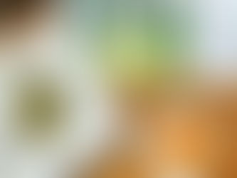 the days オーガニックハーブティ