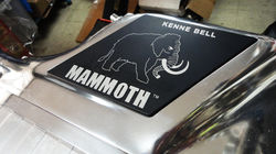 Shelby GT500 Hypersnake 1000