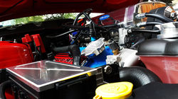 Shelby GT500 Hypersnake 1000