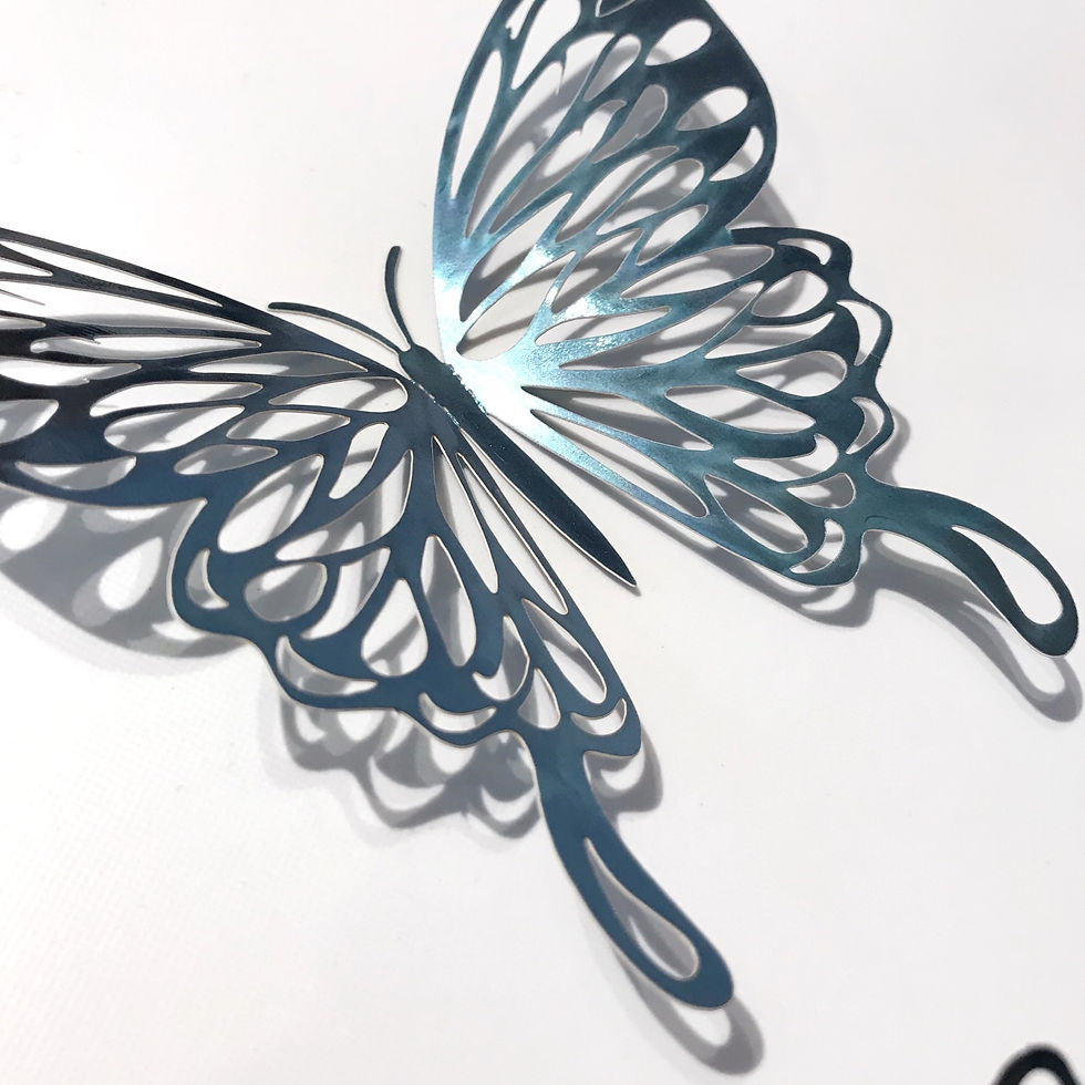 Thumbnail: Foil Butterfly Pack