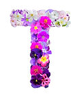 letter T flowers alphabet made of real b